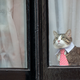 Photo: Getty